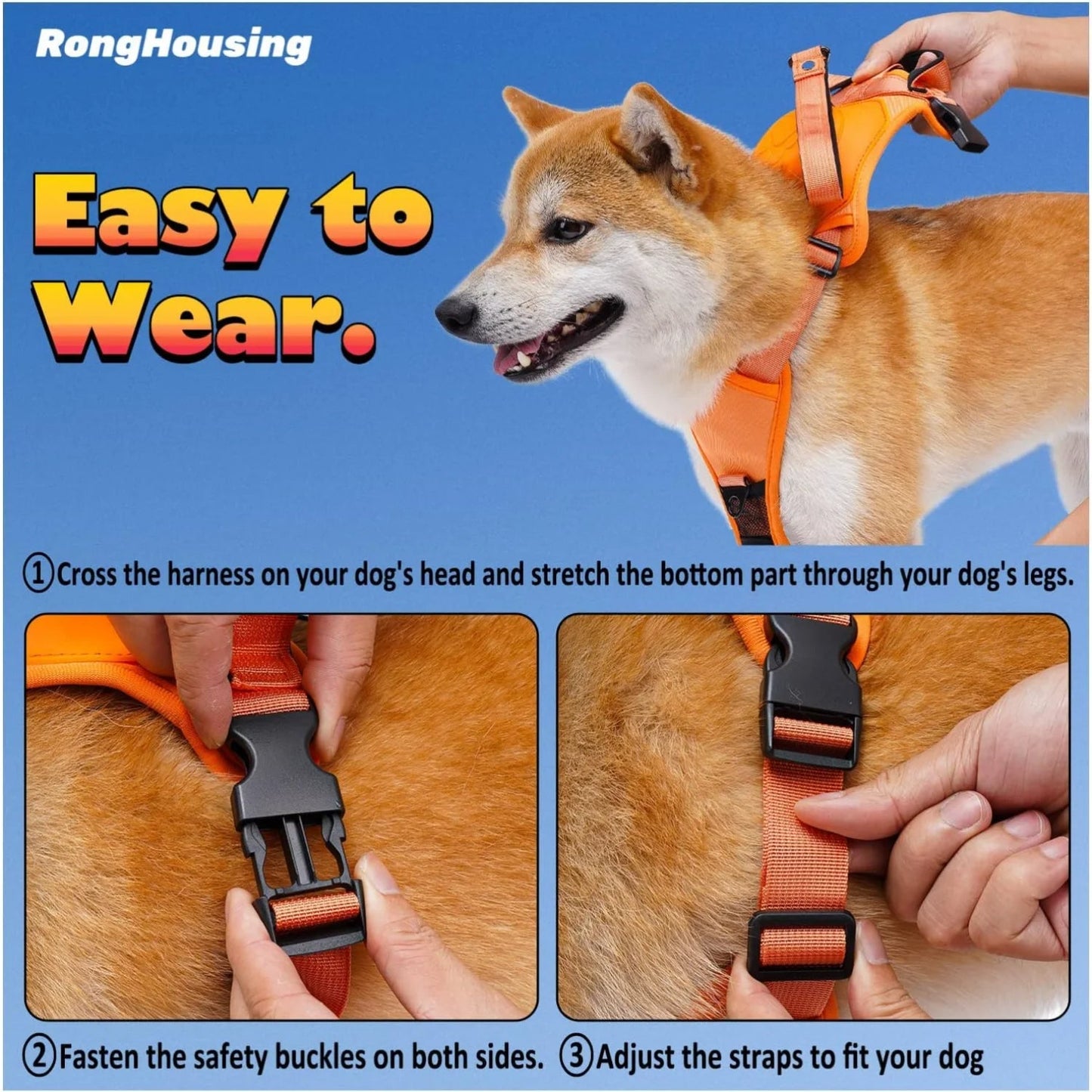 Pawsitive Walk Pro Kit