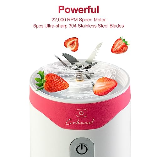 BlendPro Max Blender