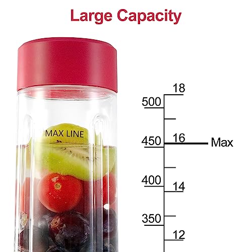 BlendPro Max Blender