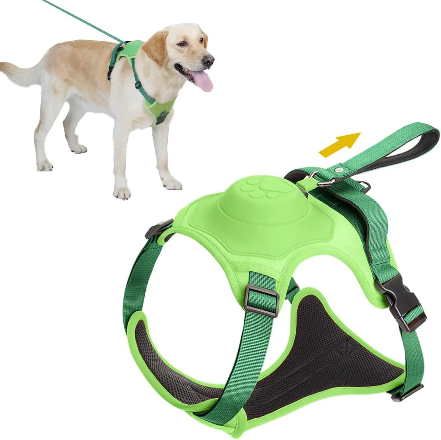 Pawsitive Walk Pro Kit