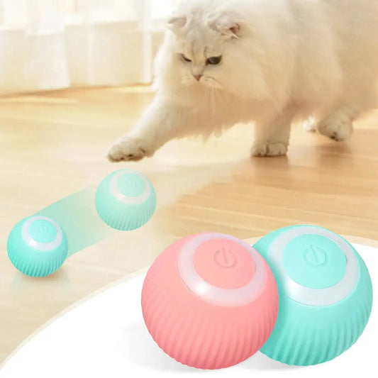 Cat Action Ball