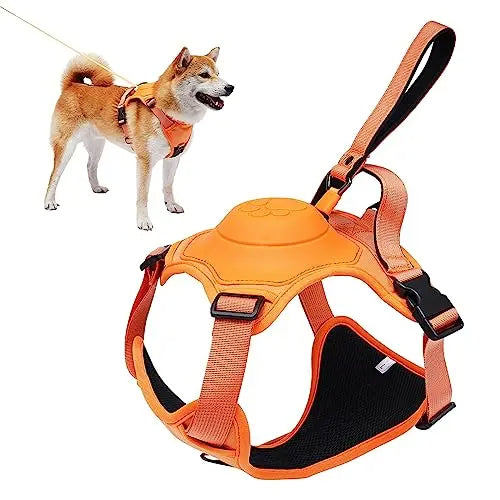 Pawsitive Walk Pro Kit