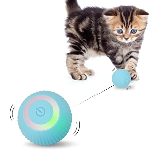 CatChase360