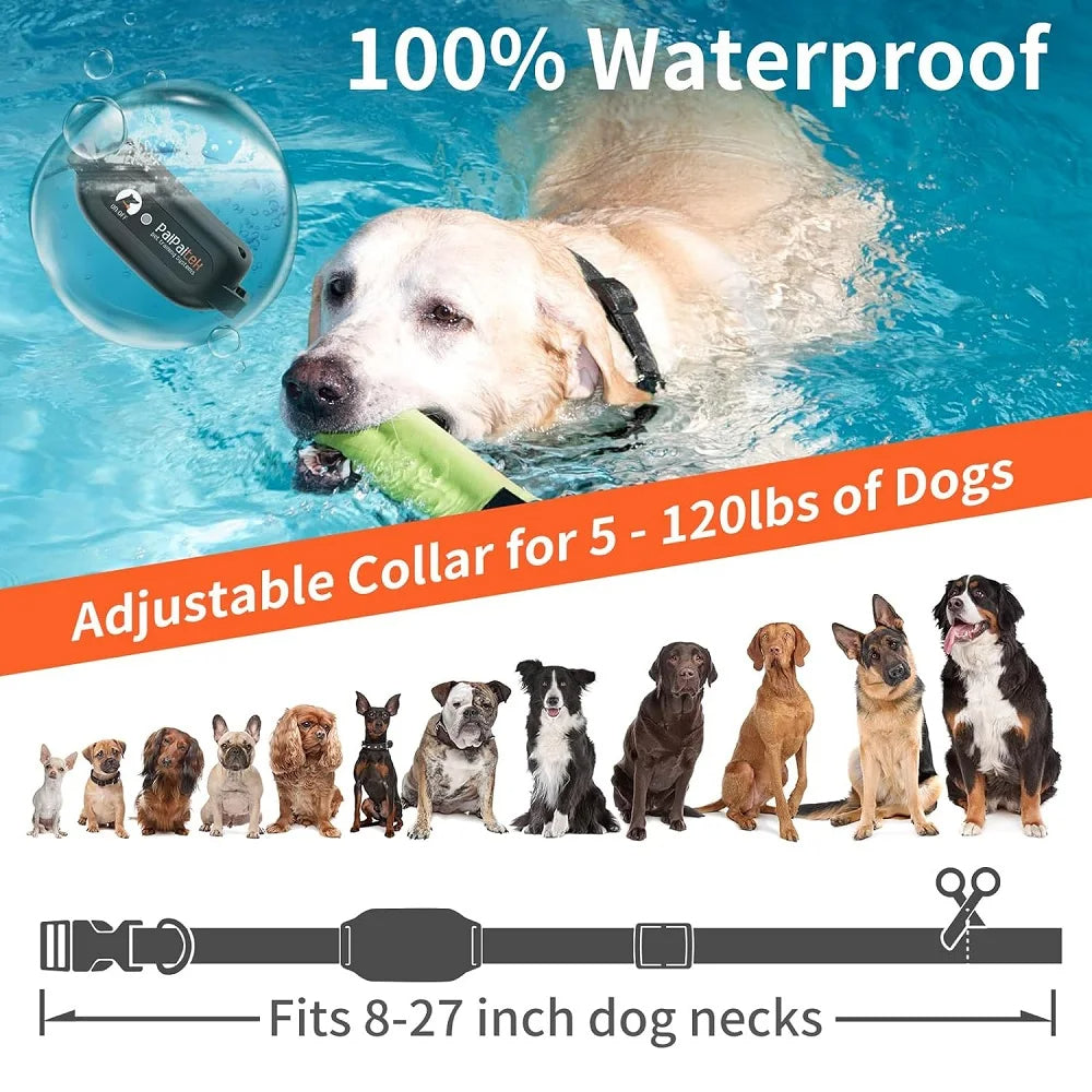 Easy Train Dog Collar Pro