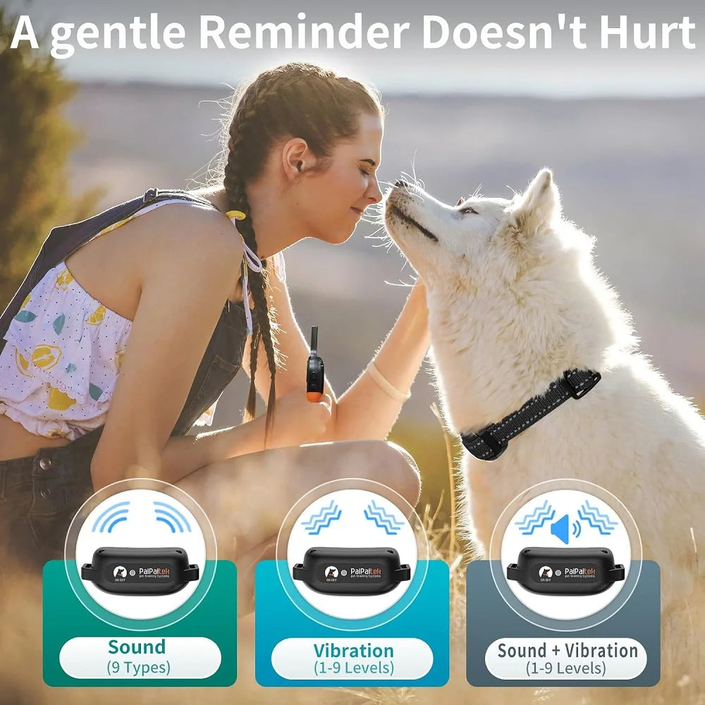 Easy Train Dog Collar Pro