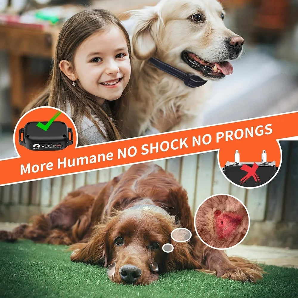 Easy Train Dog Collar Pro