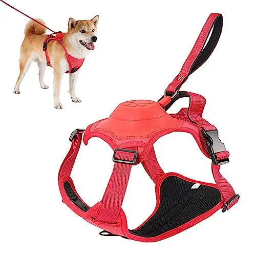 Pawsitive Walk Pro Kit