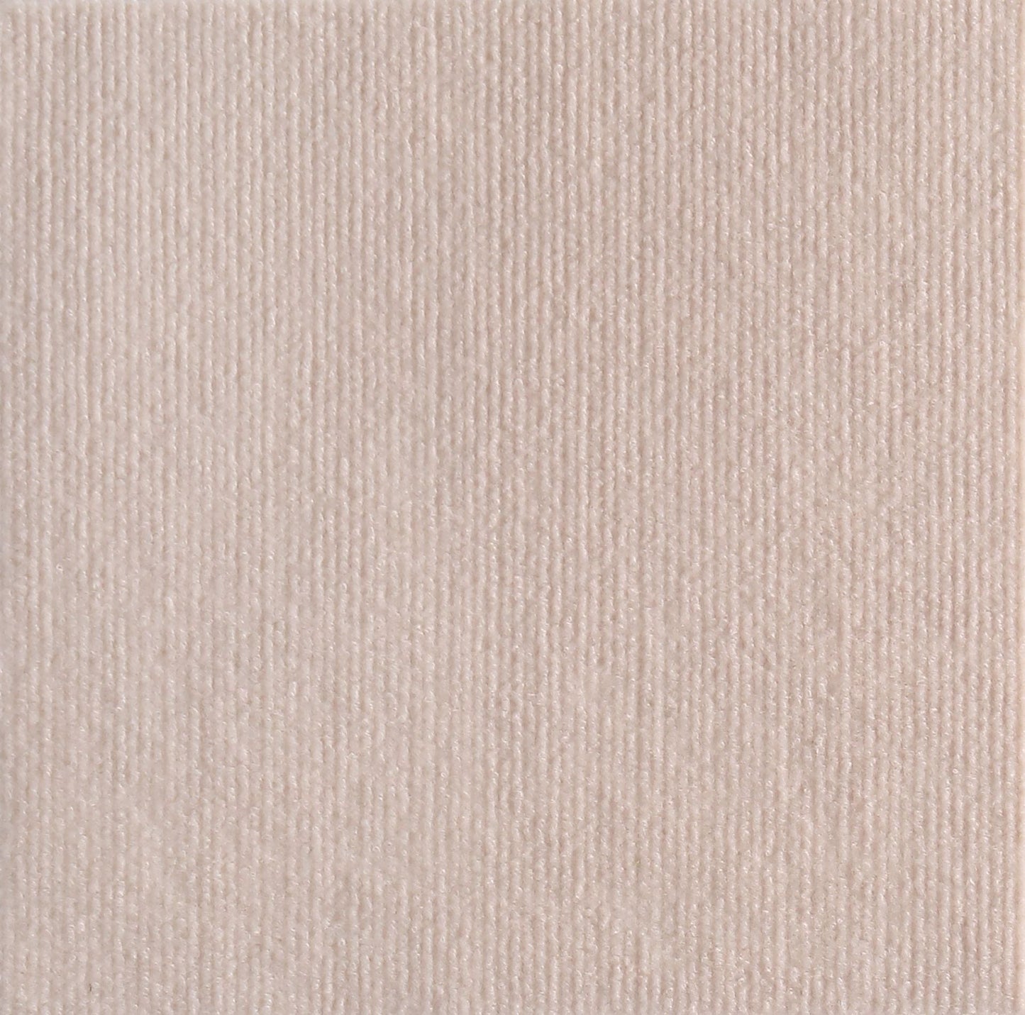 Ultimate Cat Scratch Protector