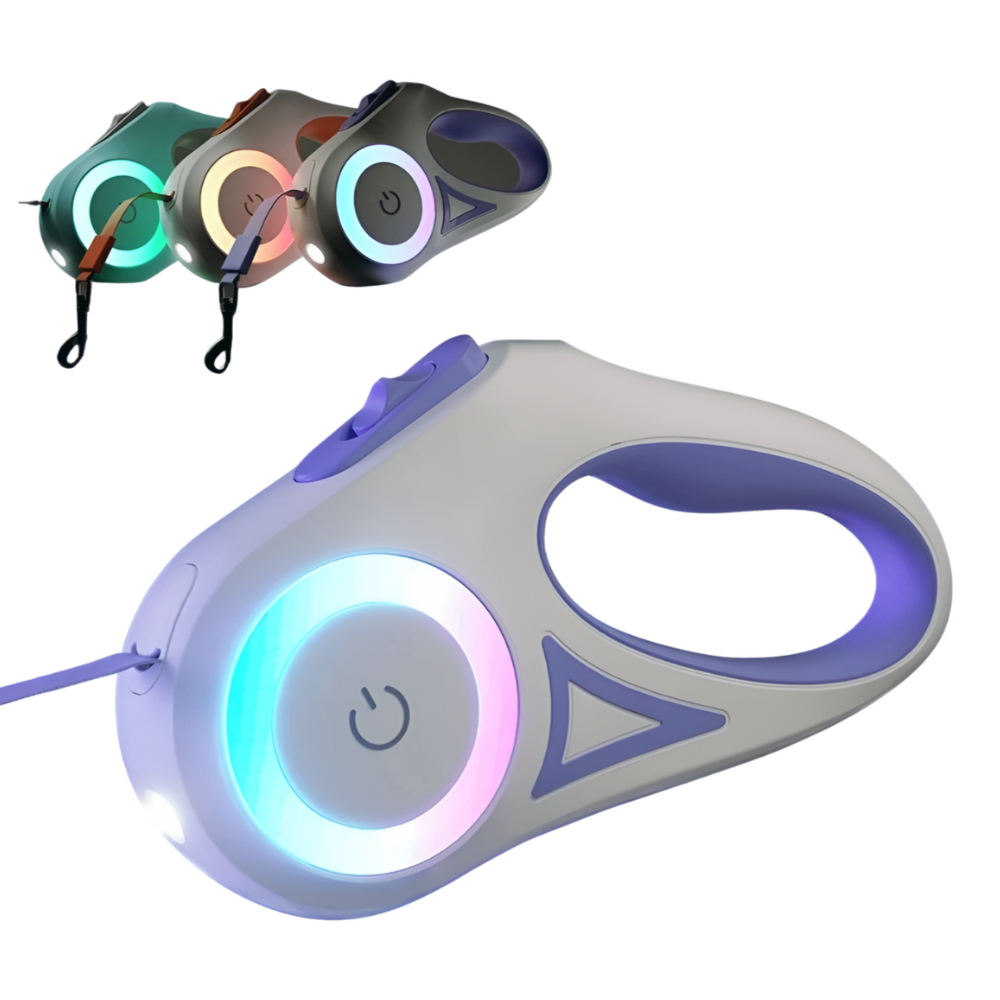 Glow-in-the-Dark Dog Leash