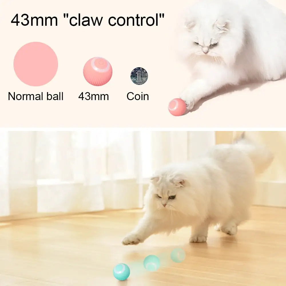 Ultimate Cat Action Ball